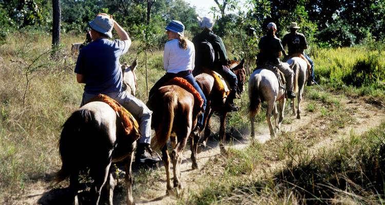 Experiencia de vida salvaje en el Pantanal - Nattrip 7