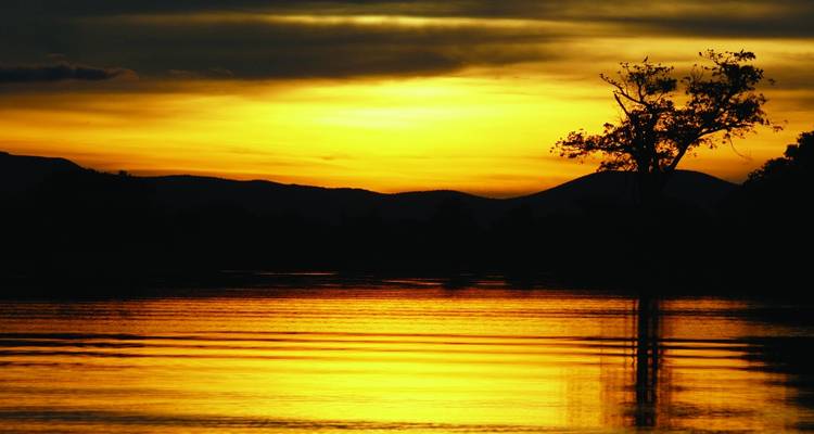 Experiencia de vida salvaje en el Pantanal - Nattrip 4