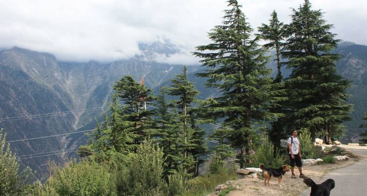 17 Days Shimla - Spiti - Manali - Dharamshala - Amritsar - Shimla Walks 9