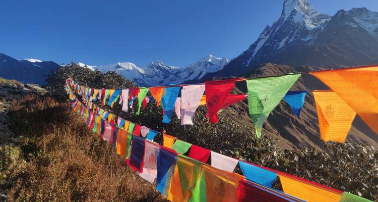 Mardi Himal Adventure Trek 7 jours - Destination Unlimited Treks and Expeditions Pvt Ltd 7