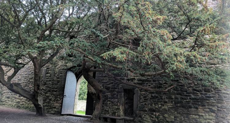 Stone entrance with trees partially obscuring the view.