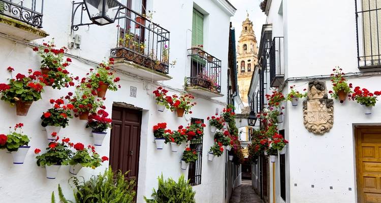 Must of Andalusia, Self-drive - Destination Services Spain 2