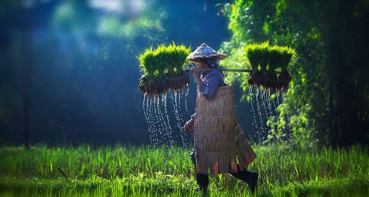 Le meilleur du Vietnam en 16 jours - Swallow Travel 9
