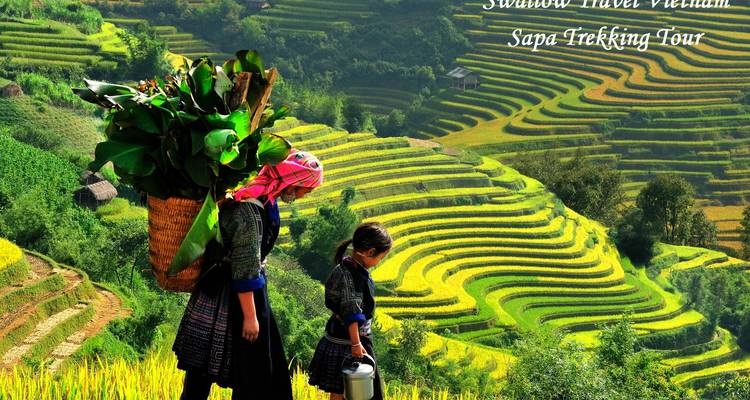 Le meilleur du Vietnam en 16 jours - Swallow Travel 8