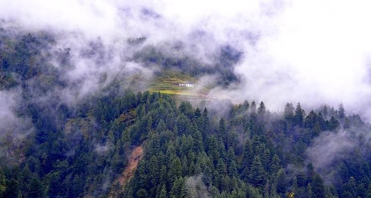 Ghorepani poon hill Trek - Mountain Rock Treks And Expedition 7