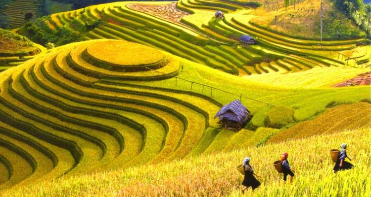 Circuito a Sapa desde Hanói en limusina - Swallow Travel 1