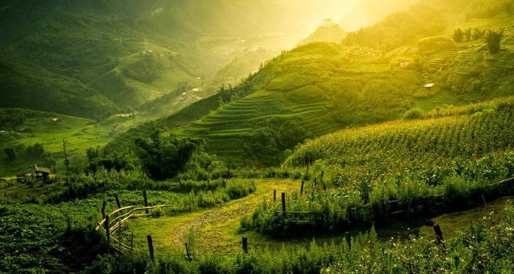 Circuito a Sapa desde Hanói en limusina - Swallow Travel 3