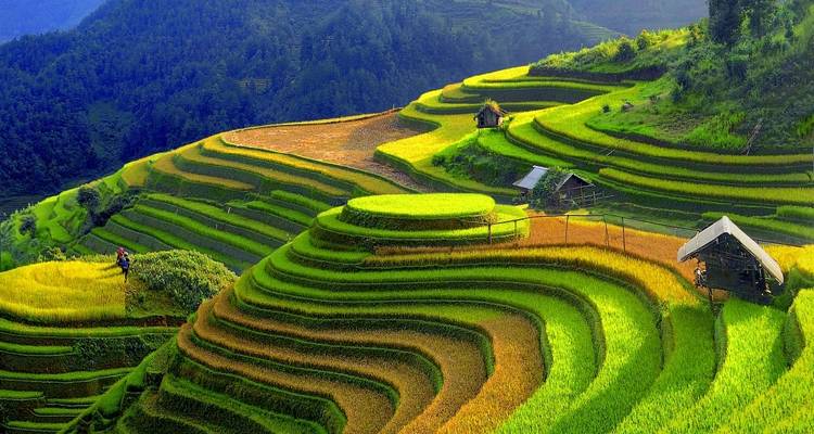 Circuito a Sapa desde Hanói en limusina - Swallow Travel 4