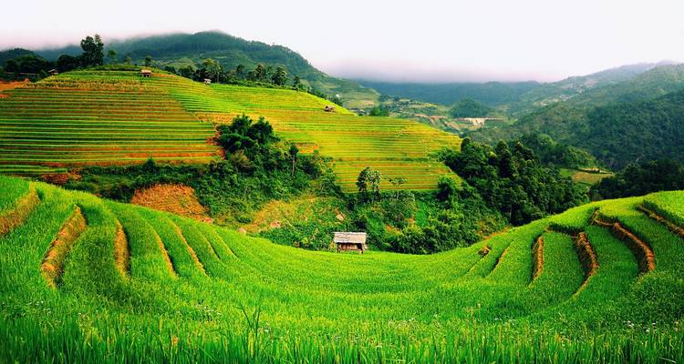 Circuito a Sapa desde Hanói en limusina - Swallow Travel 8