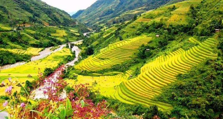 Visite de Sapa en train de nuit depuis Hanoi - Swallow Travel 6