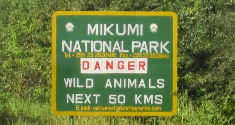 3 días - Parque Nacional de Mikumi - Silver Sky Travel 6