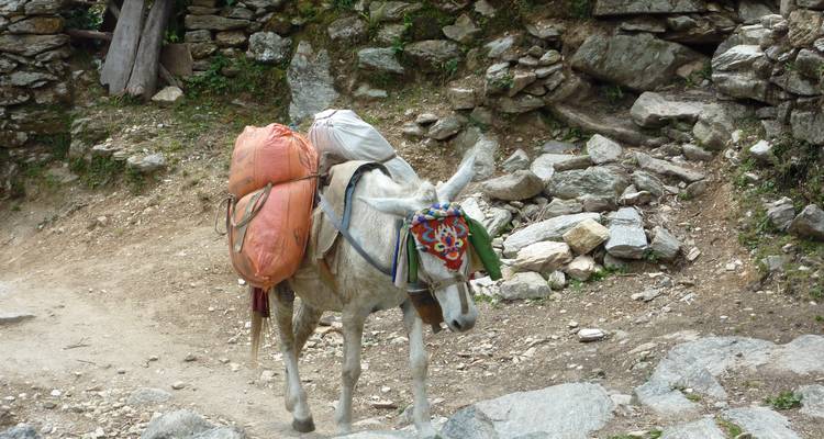 Circuit classique de l'Annapurna - Destination Unlimited Treks and Expeditions Pvt Ltd 2