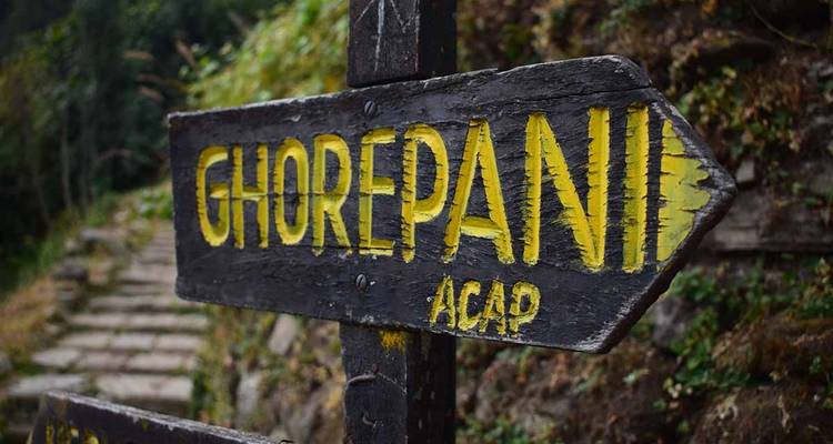 Senderismo Ghorepani Poon Hill - Travel Max Guide 9