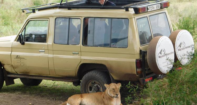 4 Jours 3 Nuits Tarangire ,Serengeti et; Ngorongoro Lodge Safari - Migration Venture Africa  4