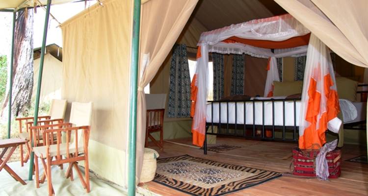4 Jours 3 Nuits Tarangire ,Serengeti et; Ngorongoro Lodge Safari - Migration Venture Africa  10