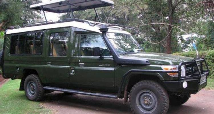 Safari Mikumi et Ruaha Wildlife Lodge - 5 jours/4 nuits - Migration Venture Africa  7
