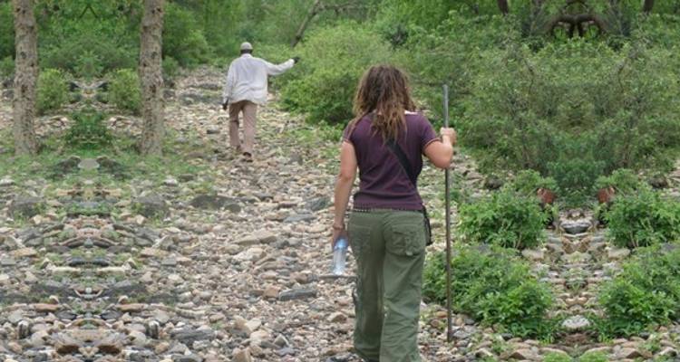 3 Jours 2 Nuits Parc National Nyerere Lodge Safari - Migration Venture Africa  4