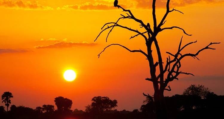 3 Jours 2 Nuits Parc National Nyerere Lodge Safari - Migration Venture Africa  2