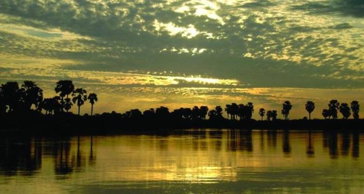 3 Jours 2 Nuits Parc National Nyerere Lodge Safari - Migration Venture Africa  6