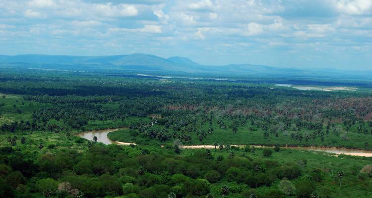 3 Jours 2 Nuits Parc National Nyerere Lodge Safari - Migration Venture Africa  3