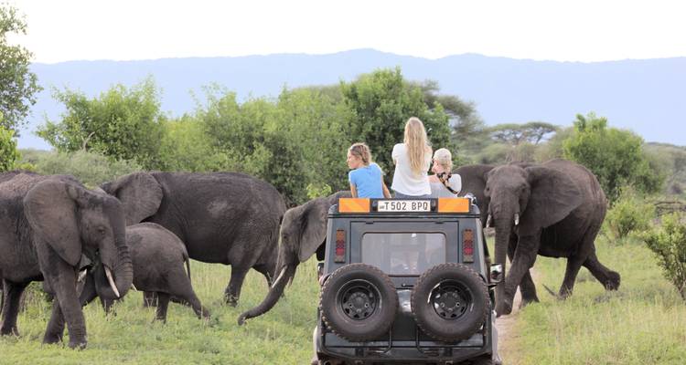 Safari de 3 jours et 2 nuits au Mikumi Wildlife Lodge - Migration Venture Africa  2