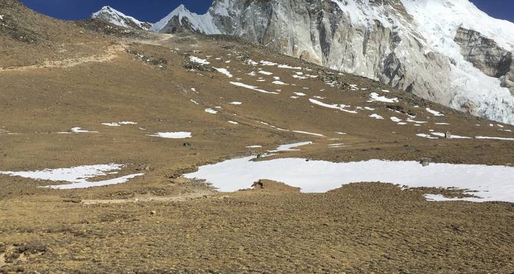 Excursión en helicóptero por el Everest con desayuno - Aterrizaje garantizado en Kalapatthar - Himalayan Adventure Treks & Tours 8