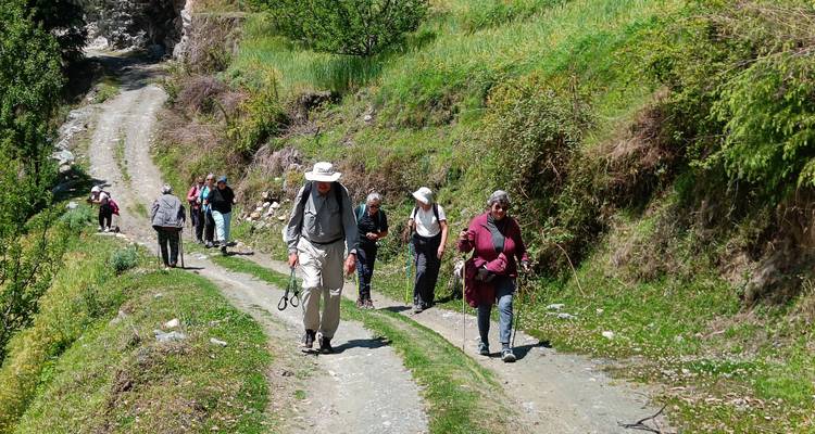 12 Days - Amazing  Seraj with Amritsar, Dharmasala and Shimla - Shimla Walks 1