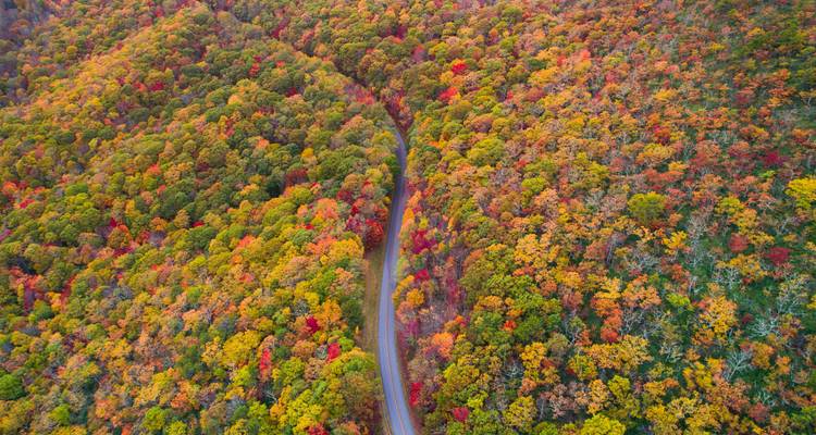 Bluegrass Country & the Smoky Mountains featuring Louisville, Lexington, Gatlinburg & Asheville (Louisville, KY to Asheville, NC) (2024) - Collette 8