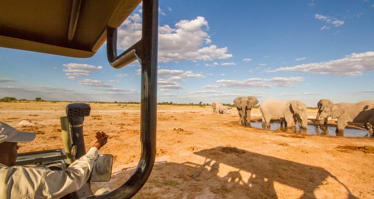 Namibia al Descubierto: Un viaje de 10 días por el desierto y el safar - T.S TOURS 3