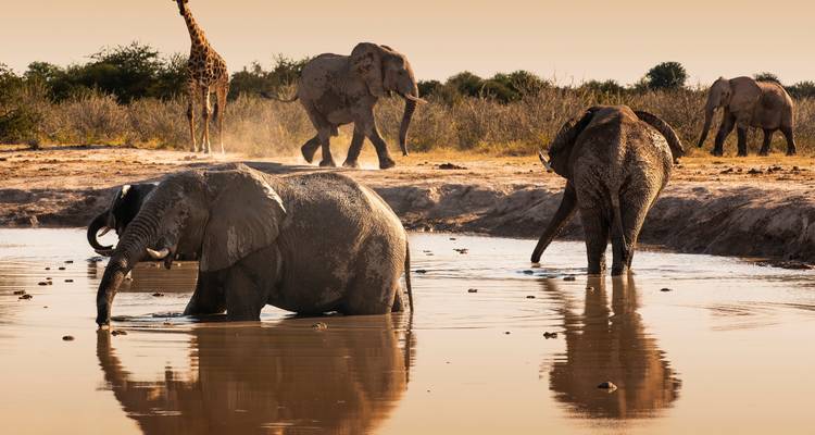Namibia al Descubierto: Un viaje de 10 días por el desierto y el safar - T.S TOURS 4