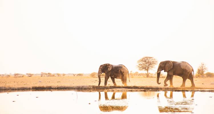Namibia al Descubierto: Un viaje de 10 días por el desierto y el safar - T.S TOURS 9