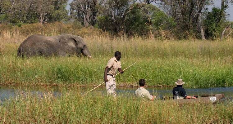 Best of Botswana: Victoria Falls, Chobe & Okavango Fly-In Safari - T.S TOURS 1