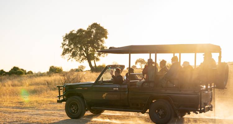 Best of Botswana: Victoria Falls, Chobe & Okavango Fly-In Safari - T.S TOURS 2