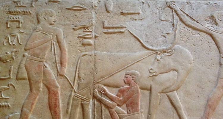 11-Day Cairo, Cruise, Abu Simbel, Dendara, Abydos, Alexandria and GEM museum - Vacations to go travel 8