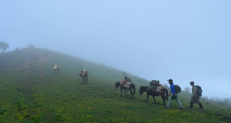 Jomolhari Round Trek - World Tour Plan 4