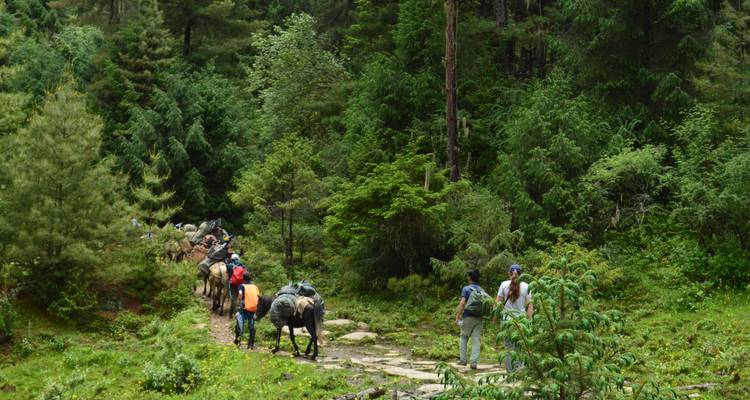 Jomolhari Round Trek - World Tour Plan 6