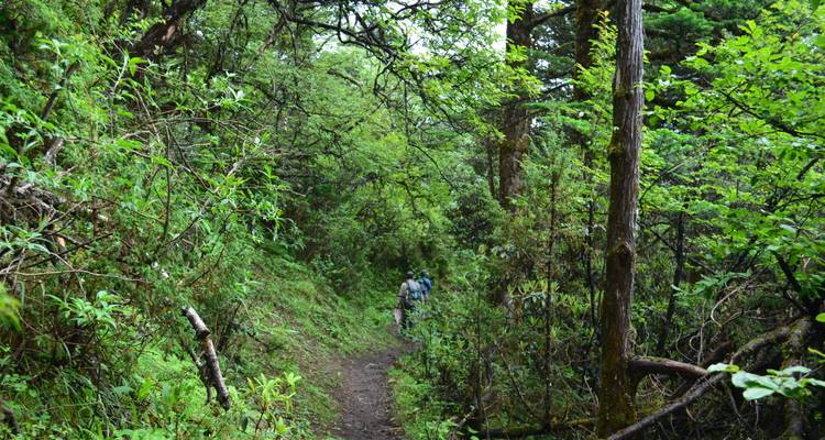 Jomolhari Round Trek - World Tour Plan 9