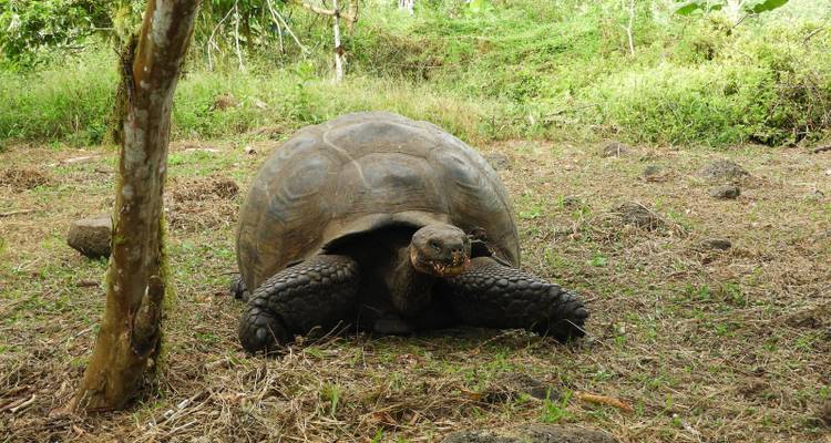 5-Day Galapagos Expedition - Rebecca Adventure Travel 6