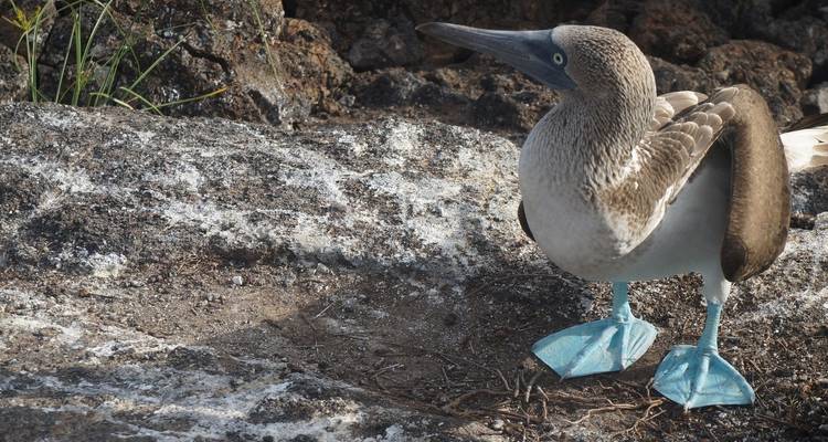 8 jours Galapagos Multisport - Rebecca Adventure Travel 6