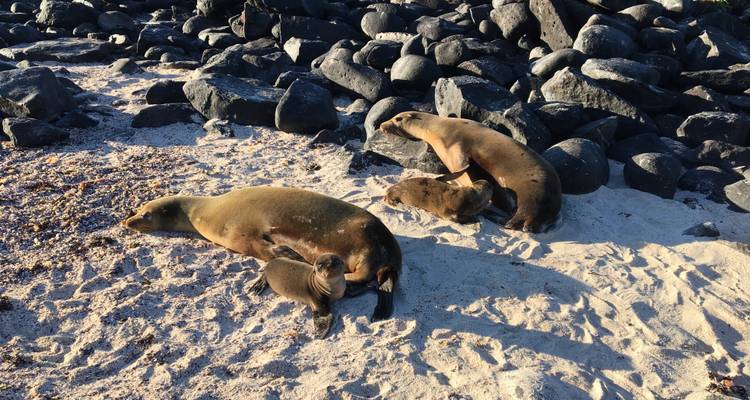 8 jours Galapagos Multisport - Rebecca Adventure Travel 1