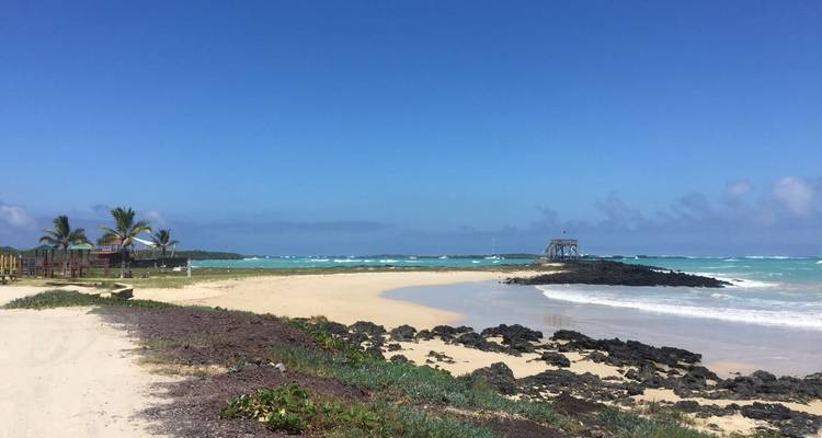 8 jours Galapagos Multisport - Rebecca Adventure Travel 3