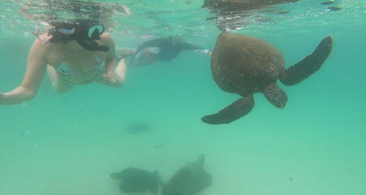 8 jours Galapagos Multisport - Rebecca Adventure Travel 4