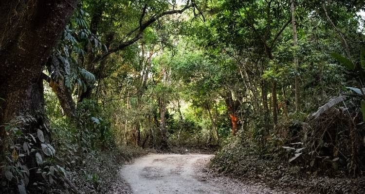 9 Day Caribbean Explorer - Adrenaline Addicts 6