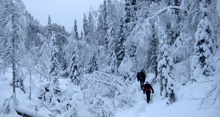 Laponie - 10 jours d'aventure au pays des merveilles de l'hiver - Nordic Unique Travels 3