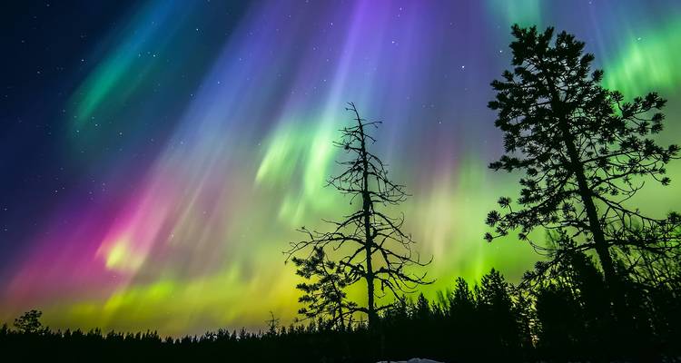 Laponie - 10 jours d'aventure au pays des merveilles de l'hiver - Nordic Unique Travels 7