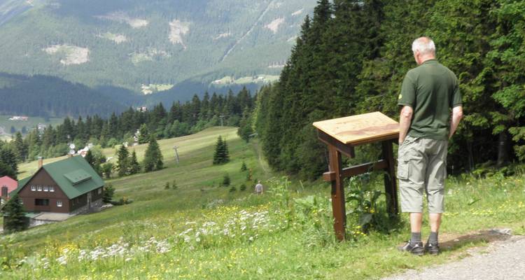 Mann, der an einem Aussichtspunkt steht und auf ein Tal blickt.