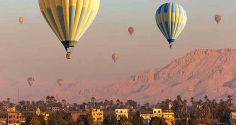 Montgolfières colorées au-dessus d'un paysage rural au lever du soleil.