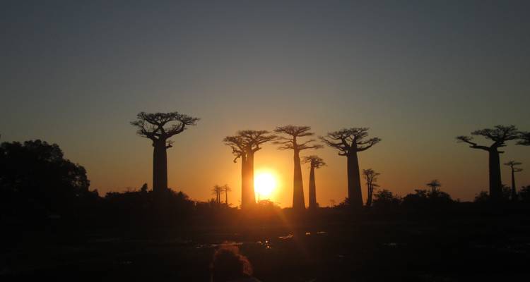 Découverte et splendeur de Madagascar - Green Island Discovery 3