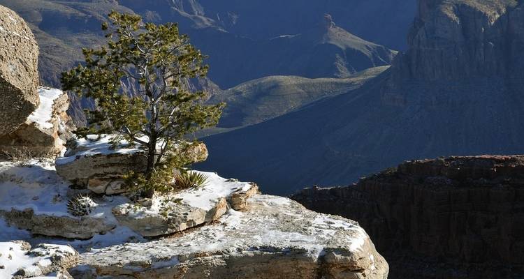 Escapade dans les Canyonlands - Globus 4