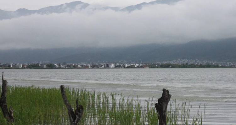 Vue brumeuse sur le lac avec des roseaux au premier plan et de bas nuages recouvrant les pentes montagneuses de l'autre côté de l'eau.